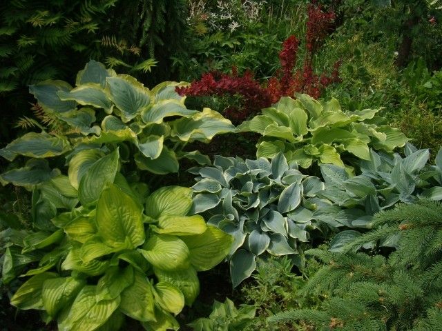 P6040184