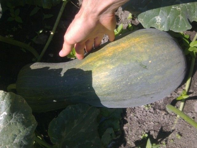 2013 07 31  13