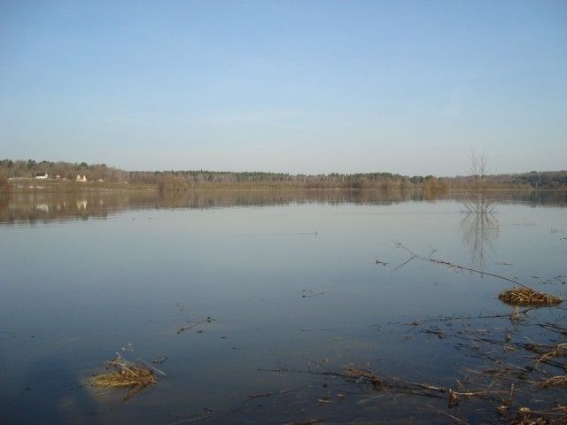 DSC06361