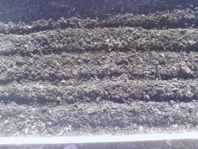 IMG 20130421 WA0002