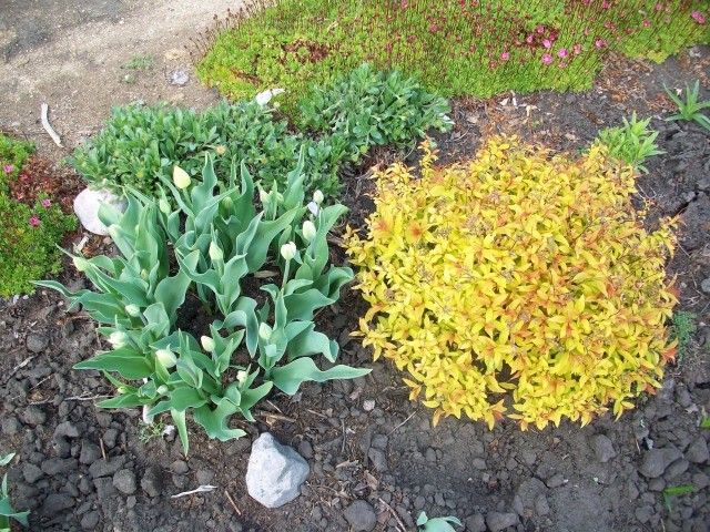 Изображение1 050