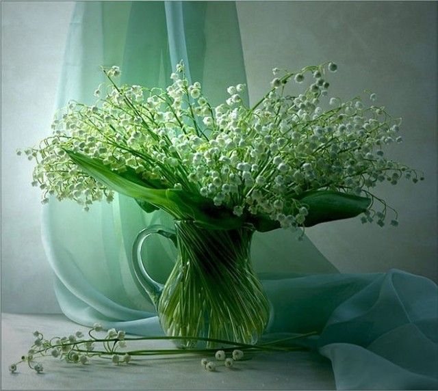 2492ba3a6507d45169271cc4bba1c6da