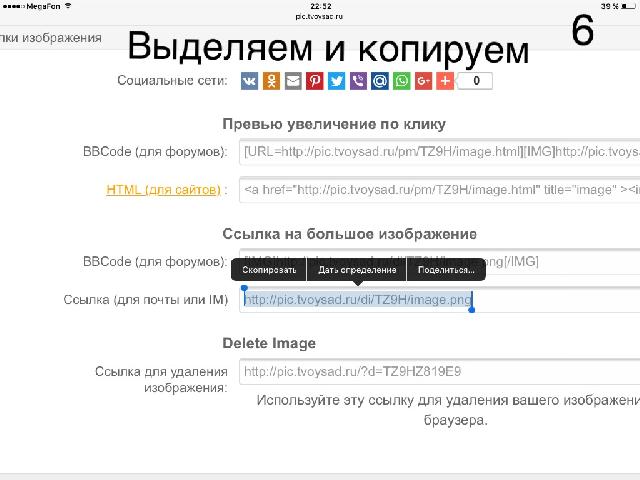 IMG 6423 24 05 17 11 07