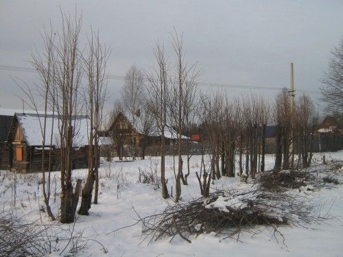 Последний штрих сезона