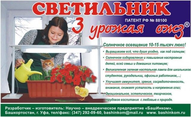ЛАМПА ОЖЗ