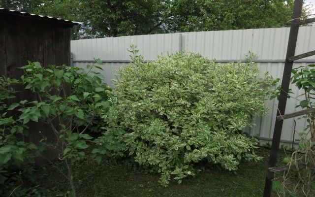 Изображение 553