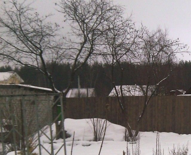 IMG 20140106 152935