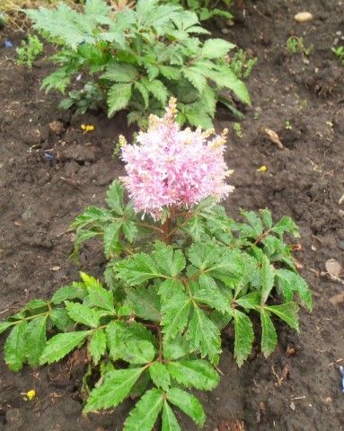 Изображение 071