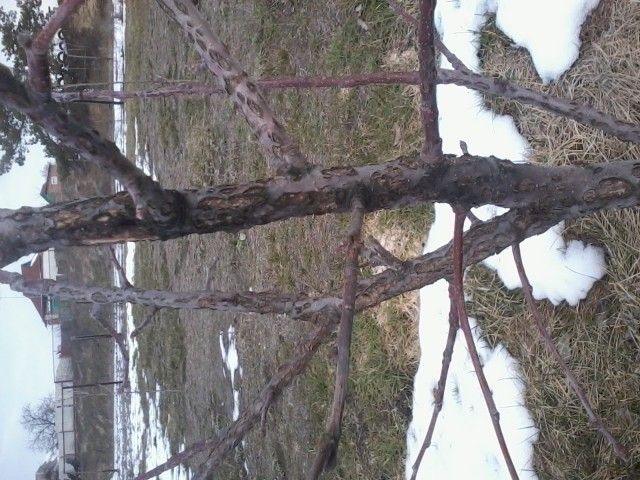 2013 03 30 09 46 11
