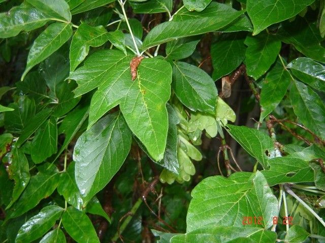 DSC04549