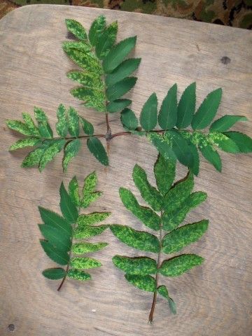 Изображение 054