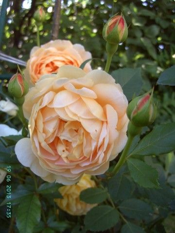 PICT0364