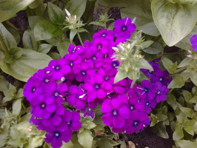 20150717 184115