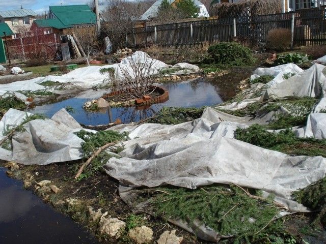 DSC01757