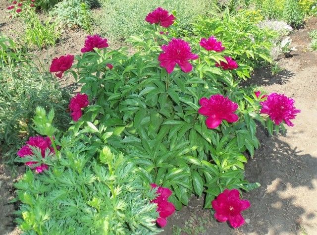 Изображение 057