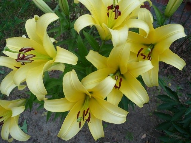 P1040690