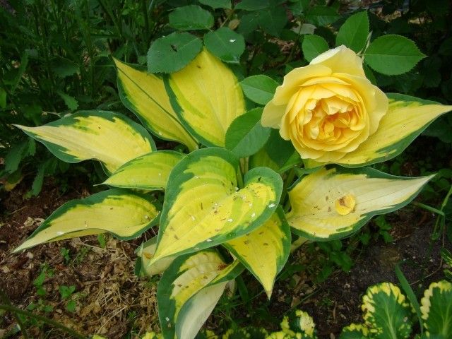 2013 06 21 001 164