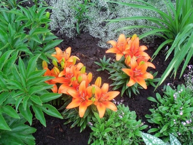 Изображение 089