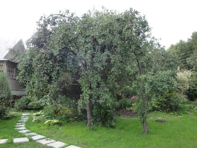 DSC01754