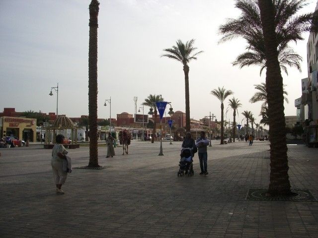 IMGP0830