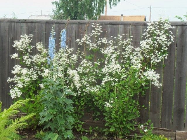 Изображение 041