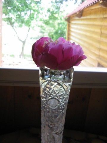 2014 06 25 10 43 02