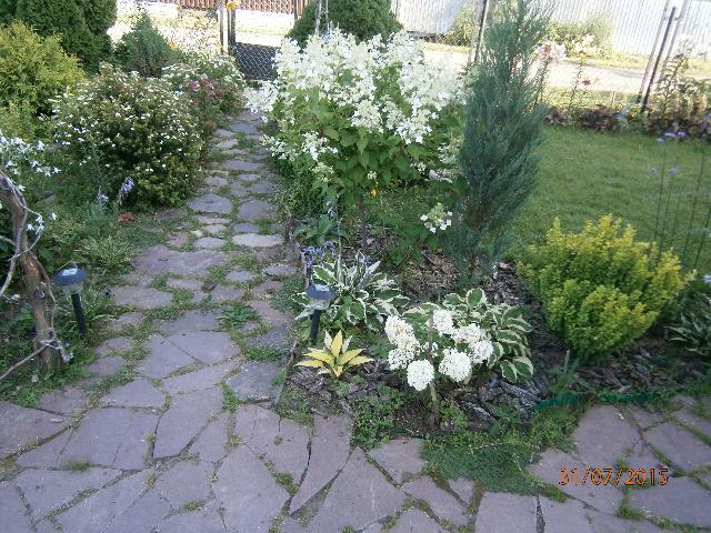 P7310468
