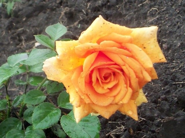 Изображение 073