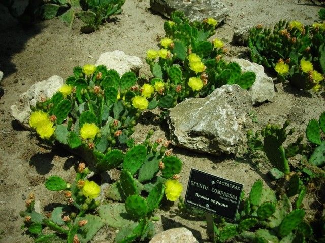 DSCN7957 изменение размера