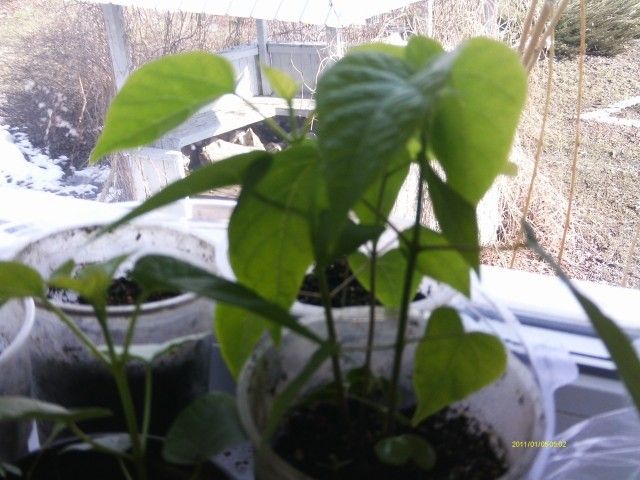 IMAG0057