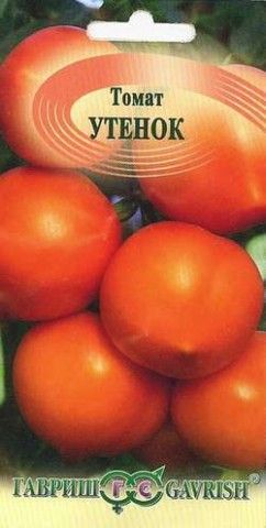 утен этикетка