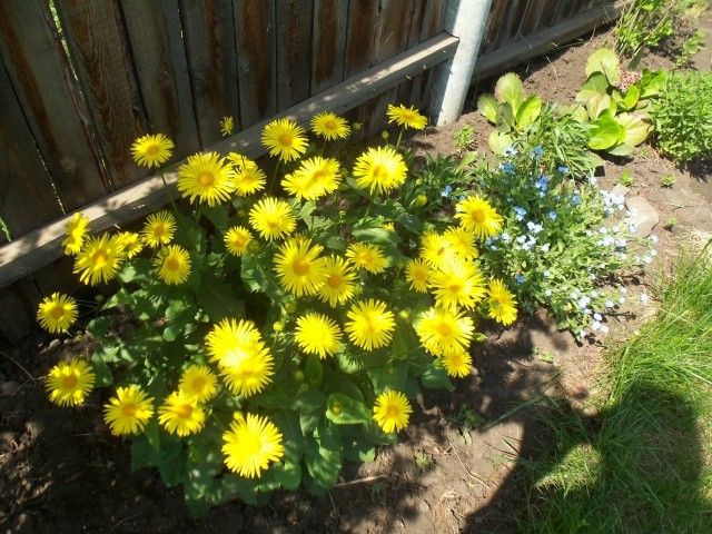 Изображение 027