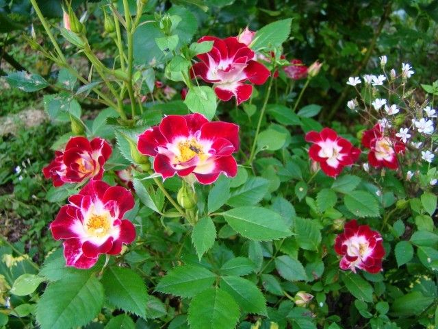 2013 06 21 001 050