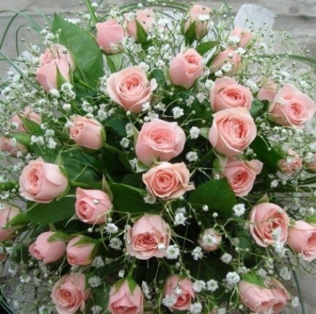 С Днем Рождения
