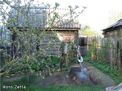 домик в деревне