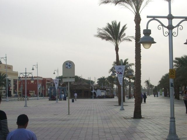 IMGP0837