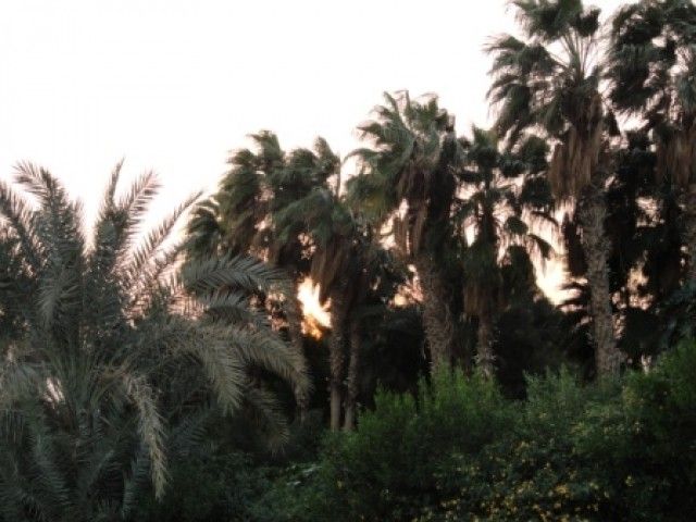 DSC01776