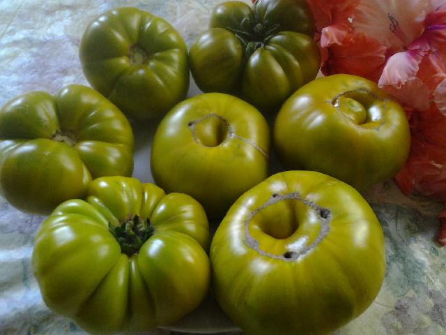 20150903 142558
