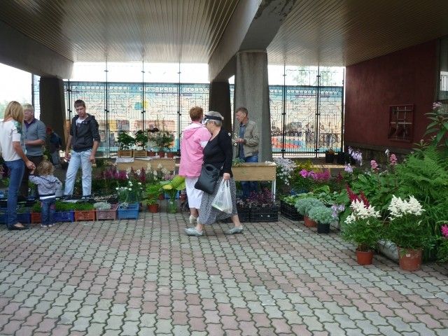 P1050040