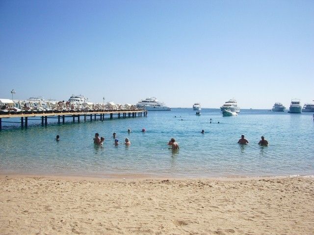 IMGP0849
