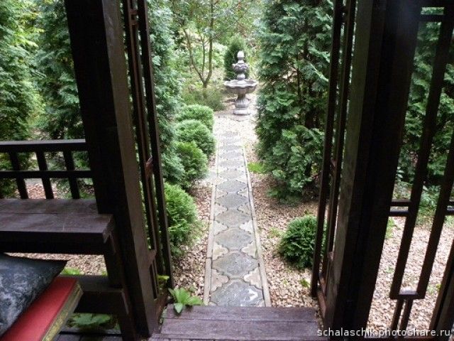 Наташа  вид из беседки