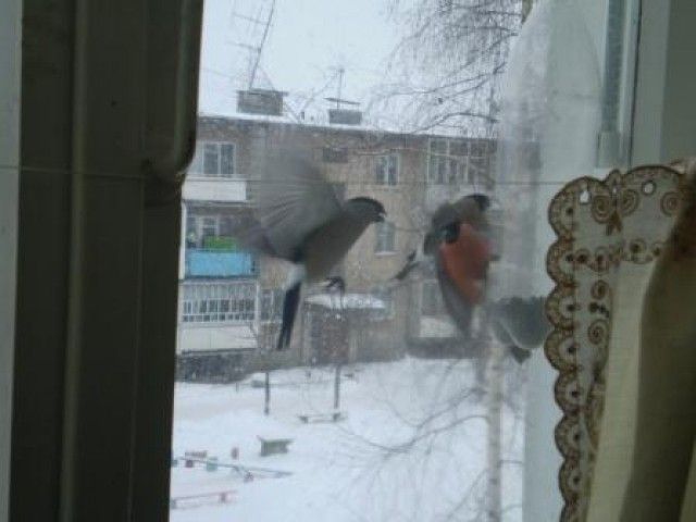 Изображение 077