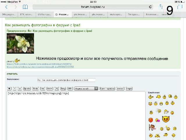 IMG 6426 24 05 17 11 07