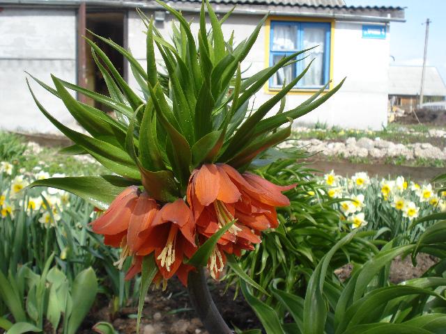 DSC00040