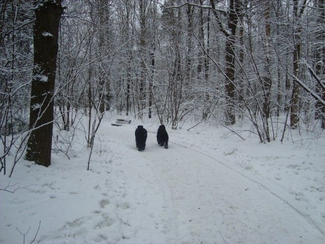 DSC06202