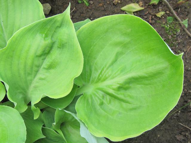 Изображение 279