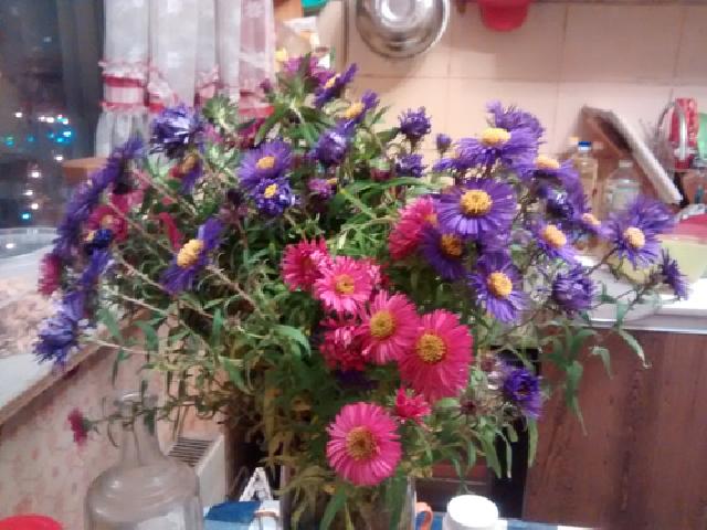 IMG 20151021 202124