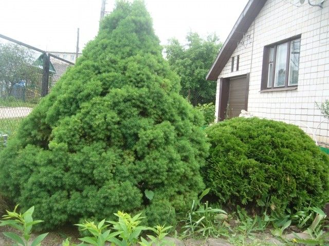 P1100439