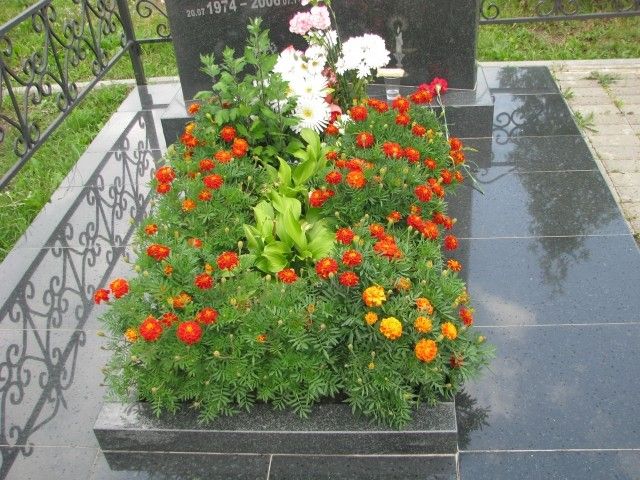 IMG 1444