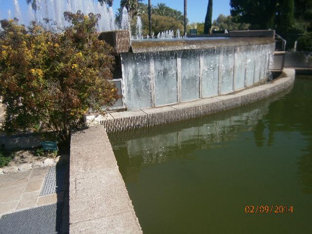 P9020678